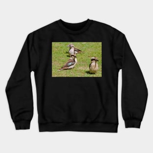 The Four Kookaburras! Crewneck Sweatshirt